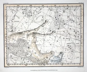 Les Constellations (Planche XII) Pégase et Équuleus, de 